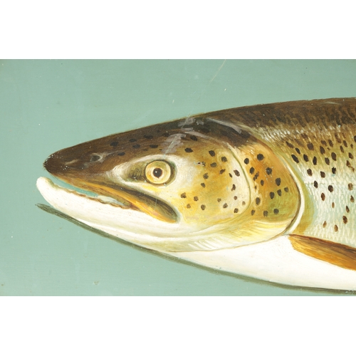 546 - AN EARLY 20TH CENTURY OIL ON BOARD OF A BROWN TROUT inscribed in bottom corner 