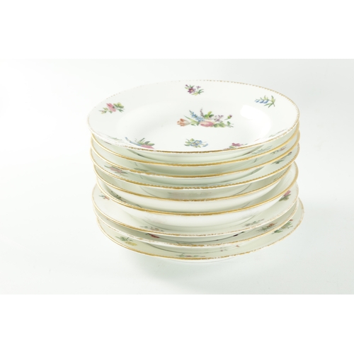 17 - A COLLECTION OF NINE MEISSEN STYLE FLORAL DINNER PLATES