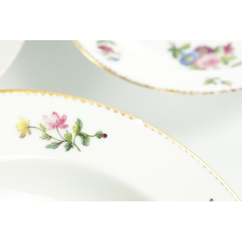 17 - A COLLECTION OF NINE MEISSEN STYLE FLORAL DINNER PLATES