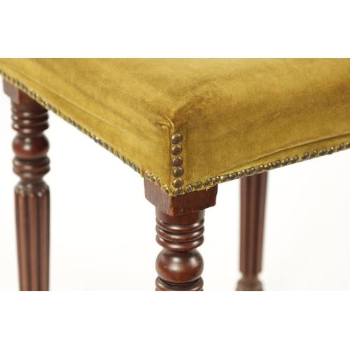 151 - A WILLIAM IV MAHOGANY UPHOLSTERED STOOL IN THE MANNER OF GILLOWS raised on reeded turned legs (37cm ... 