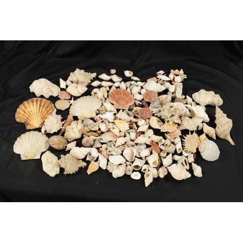 198 - TWO BOXES OF SEA SHELLS