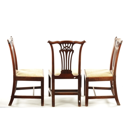 217 - A FINE ORIGINAL SET OF SIX GEORGE III CHIPPENDALE PERIOD MAHOGANY PIERCED SPLAT BACK DINING CHAIRS w... 