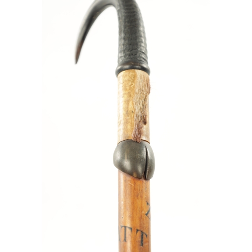 229 - A LATE 19TH CENTURY AUSTRIAN TYROL HIKING WALKING STICK with goats horn handle and inscribed wooden ... 