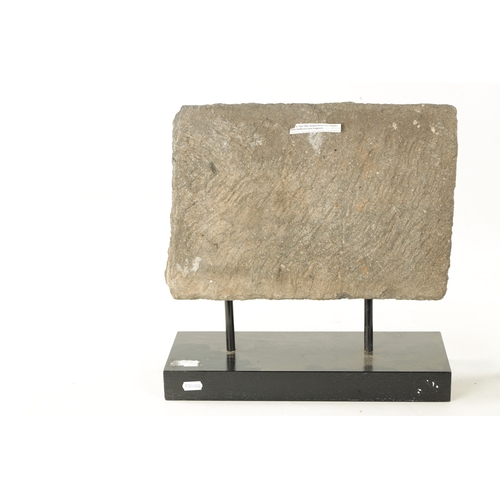 287 - A 13TH 14TH CENTURY EASTERN VOLCANIC STONE FRAGMENT mounted on a later wooden base (38cm wide 39cm h... 