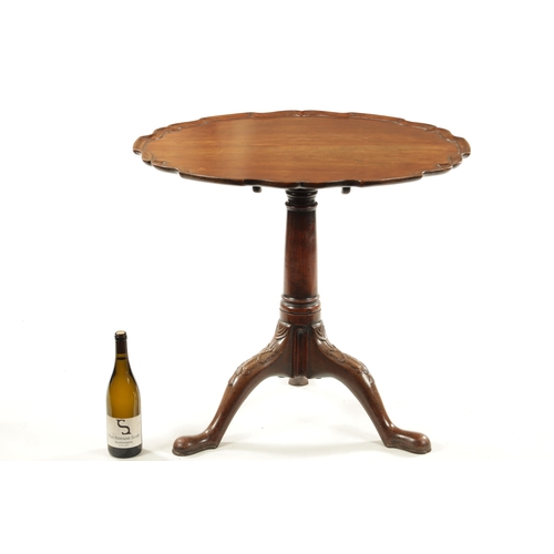 304 - AN 18TH CENTURY FIGURED MAHOGANY PIE CRUST TRIPOD TABLE ON MANX FEET with a turned stem and ribbon c... 