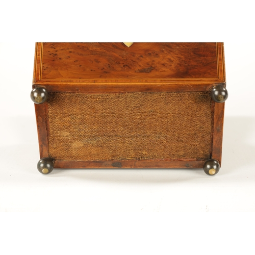 346 - A REGENCY BURR YEW TEA CADDY with fitted interior and brass bun feet (19cm wide 11cm deep 14cm high)