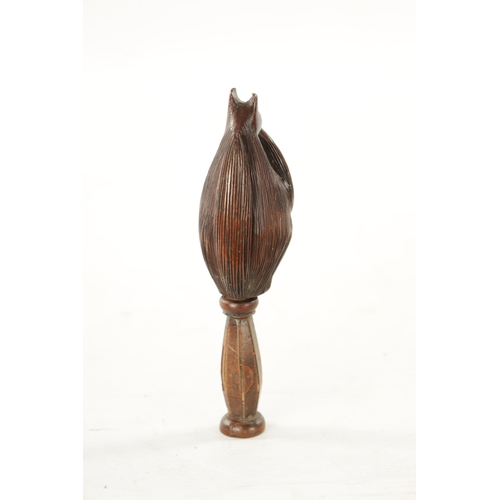 383 - A 19TH CNEUTRY CARVED FRUITWOOD TREEN NUTCRACKER modelled as a squirrel (16cm overall)