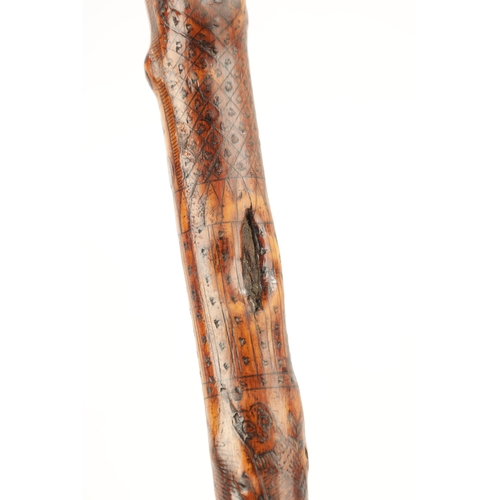 442 - A RARE VICTORIAN FOLK ART CARVED HAWTHORN WALKING STICK DATED 1860 decorated with the Royal coat of ... 