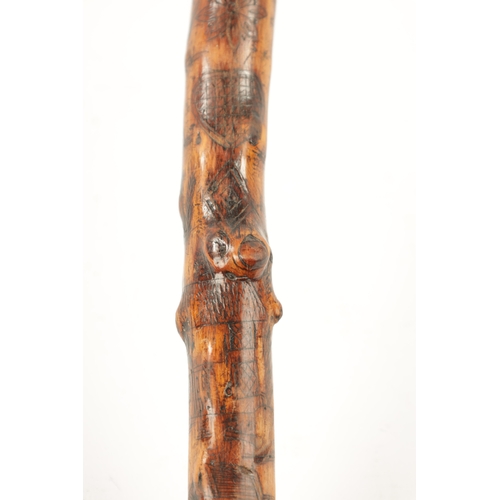 442 - A RARE VICTORIAN FOLK ART CARVED HAWTHORN WALKING STICK DATED 1860 decorated with the Royal coat of ... 