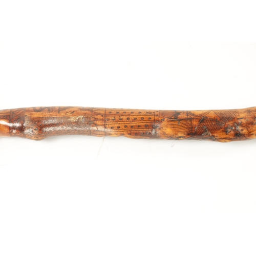 442 - A RARE VICTORIAN FOLK ART CARVED HAWTHORN WALKING STICK DATED 1860 decorated with the Royal coat of ... 