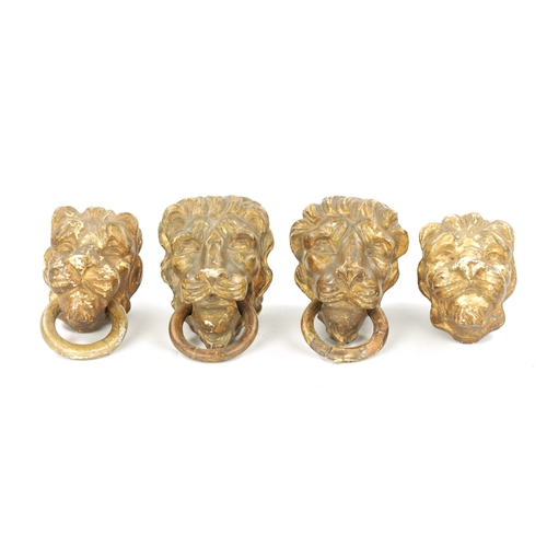 46 - A SET OF FOUR REGENCY CARVED GILTWOOD LION'S HEADS three with looped handles. (10.5cm wide)