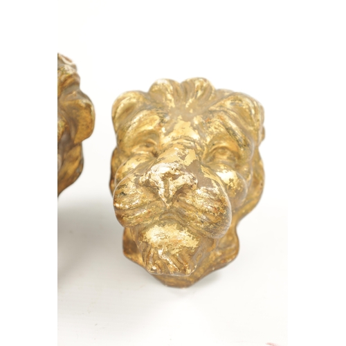 46 - A SET OF FOUR REGENCY CARVED GILTWOOD LION'S HEADS three with looped handles. (10.5cm wide)