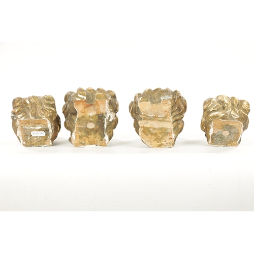 46 - A SET OF FOUR REGENCY CARVED GILTWOOD LION'S HEADS three with looped handles. (10.5cm wide)