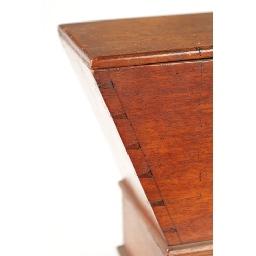 53 - A 19TH CENTURY MAHOGANY TAPERED LIDDED BOX WITH SIDE DRAWER (34.5cm wide 30cm high)