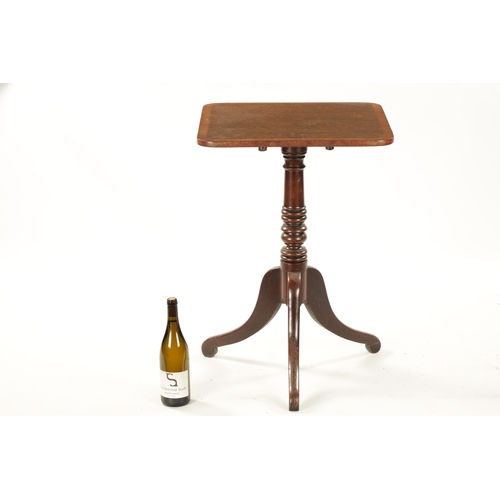 58 - A REGENCY TRIPOD TABLE WITH PALM WOOD TOP AND MAHOGANY BASE having tilt top and tripod base (51cm sq... 