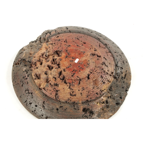 69 - MIKE SCOTT (B.1943) A LARGE TURNED BURR WOOD BOWL initialled. (59cm diameter)