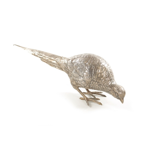 665 - AN EARLY 20TH CENTURY SILVER SCULPTURE OF COCK PHEASANT modelled with low pecking head - hallmarked ... 