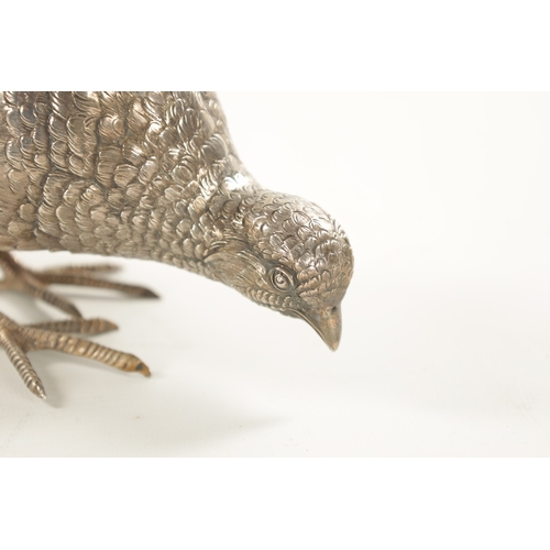 665 - AN EARLY 20TH CENTURY SILVER SCULPTURE OF COCK PHEASANT modelled with low pecking head - hallmarked ... 