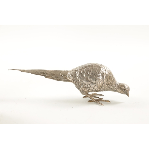 665 - AN EARLY 20TH CENTURY SILVER SCULPTURE OF COCK PHEASANT modelled with low pecking head - hallmarked ... 