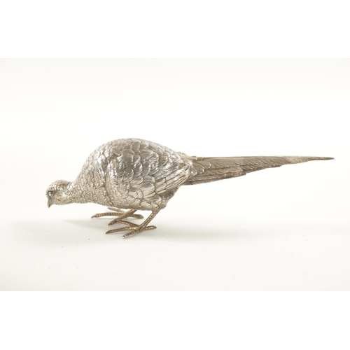 665 - AN EARLY 20TH CENTURY SILVER SCULPTURE OF COCK PHEASANT modelled with low pecking head - hallmarked ... 