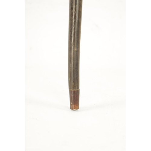 740 - A LATE 19TH CENTURY RHINOCEROS HORN WALKING STICK of turned tapered form with brass tip, total weigh... 