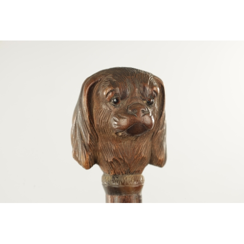 769 - TWO LATE 19TH CENTURY CARVED DOG'S HEAD WALKING STICKS one modelled as a spaniel with glass eyes, th... 