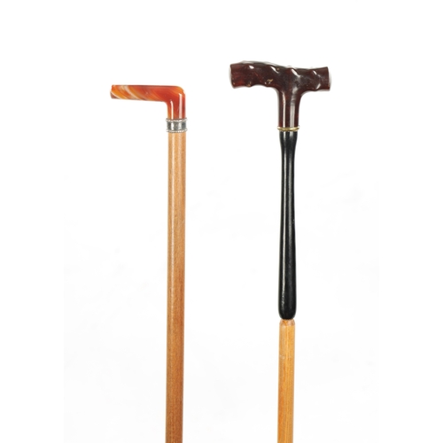 778 - TWO LATE 19TH CENTURY AGATE AND STONE TOPPED WALKING STICKS one with silver collar. (90cm long)