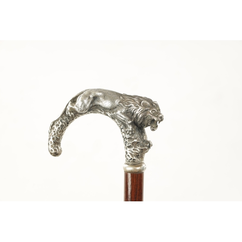 779 - A LATE 19TH CENTURY SILVER TOPPED WALKING STICK MODELLED AS A PROWLING LION in a naturalistic rocky ... 