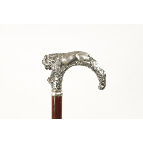 779 - A LATE 19TH CENTURY SILVER TOPPED WALKING STICK MODELLED AS A PROWLING LION in a naturalistic rocky ... 