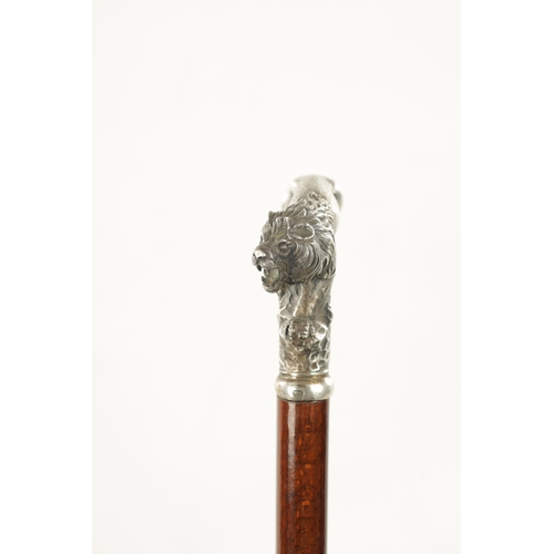 779 - A LATE 19TH CENTURY SILVER TOPPED WALKING STICK MODELLED AS A PROWLING LION in a naturalistic rocky ... 