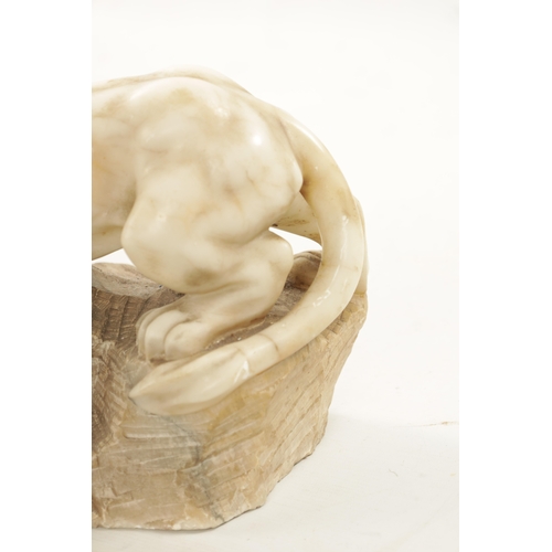 1012 - A 19TH CENTURY CARVED ALABASTER SCULPTURE OF TWO LIONS mounted on a naturalistic base (55cm wide)