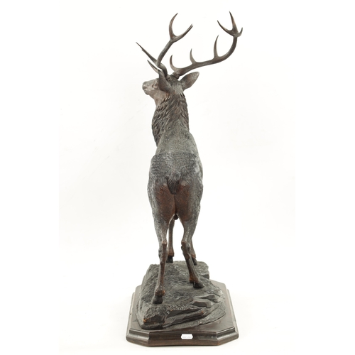 1041 - A FINE QUALITY LATE 19TH CENTURY BLACK FOREST CARVED STAG SIGNED ERNST HEISL with amber glass eyes s... 