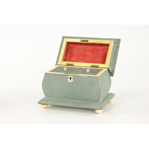 1042 - AN ENGLISH SHAGREEN TEA CADDY with bombe shaped body raised on bone ball feet, the hinged lid openin... 