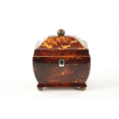 1065 - A 19TH CENTURY TORTOISESHELL TEA CADDY OF SMALL SIZE the finely patinated body with pewter lined edg... 