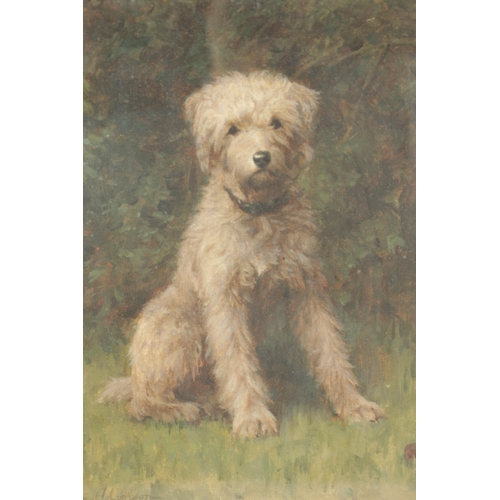 1138 - JOHN ADAMSON (1865-1918). A LATE 19TH CENTURY OIL ON CANVAS. Seated dog with ball, signed lower left... 