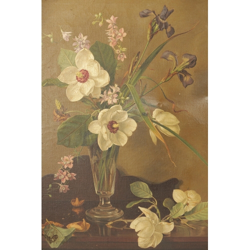 1147 - ALBERT WILLIAMS (1922-2010). A PAIR OF STILL LIFE OIL ON CANVAS. signed - in gilt swept frames (50.5... 