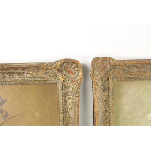 1147 - ALBERT WILLIAMS (1922-2010). A PAIR OF STILL LIFE OIL ON CANVAS. signed - in gilt swept frames (50.5... 