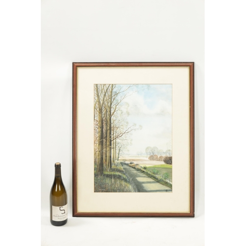 1164 - ALEX SCHOFIELD, A 20TH CENTURY WATERCOLOUR depicting a tree lined landscape - mounted in glazed moul... 