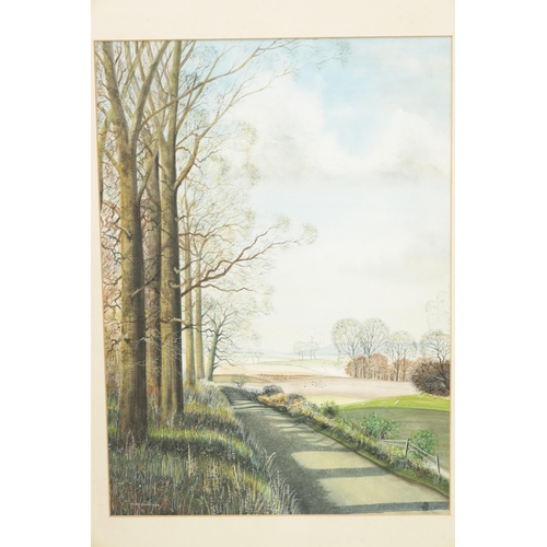 1164 - ALEX SCHOFIELD, A 20TH CENTURY WATERCOLOUR depicting a tree lined landscape - mounted in glazed moul... 