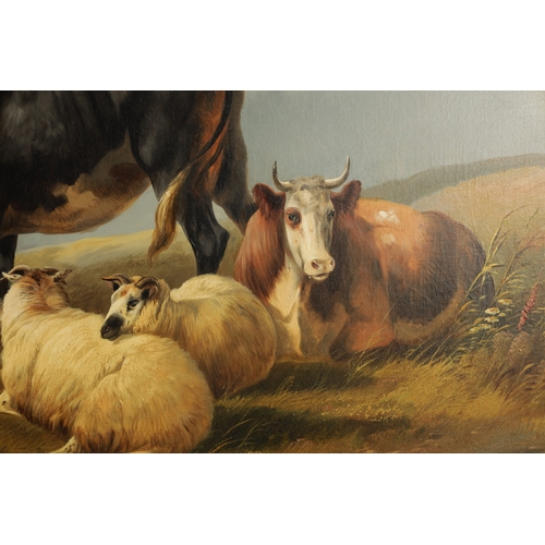 1191 - JOHN W. MORRIS (1865-1924) A LARGE OIL ON CANVAS. Cattle and sheep resting, signed lower left - in g... 