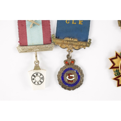 849 - A COLLECTION OF MASONIC AND ORDER OF THE BUFFALOES MEDALS in various designs including silver and en... 