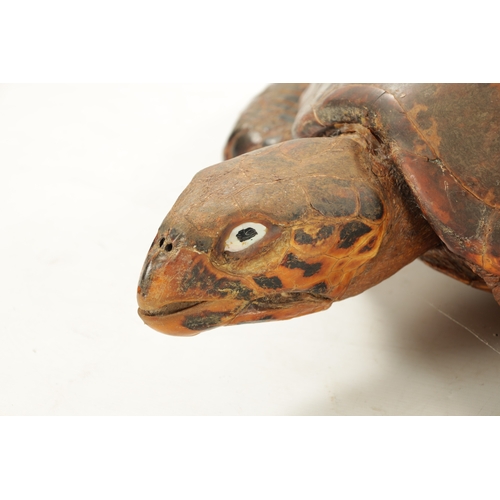 958 - A LARGE LATE 19TH CENTURY TAXIDERMY HAWKSBILL TURTLE (105cm long, 74cm wide )