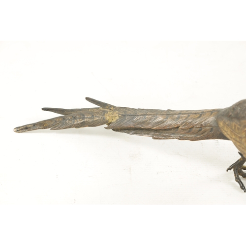 980 - FRANZ BERGMAN. A LATE 19TH CENTURY COLD PAINTED BRONZE SCULPTURE OF A PHEASANT bearing Bergman stamp... 