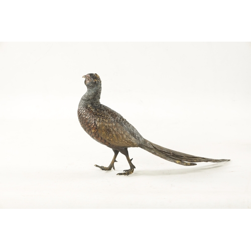 980 - FRANZ BERGMAN. A LATE 19TH CENTURY COLD PAINTED BRONZE SCULPTURE OF A PHEASANT bearing Bergman stamp... 