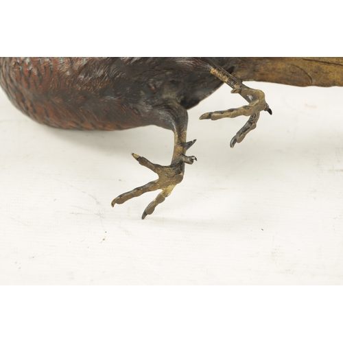 980 - FRANZ BERGMAN. A LATE 19TH CENTURY COLD PAINTED BRONZE SCULPTURE OF A PHEASANT bearing Bergman stamp... 