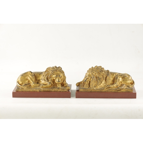 983 - A PAIR OF LATE 19TH CENTURY GILT BRONZE RECUMBENT LIONS mounted on marble plinths (30.5cm wide 16.5c... 