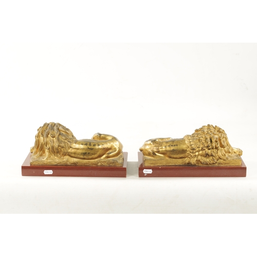 983 - A PAIR OF LATE 19TH CENTURY GILT BRONZE RECUMBENT LIONS mounted on marble plinths (30.5cm wide 16.5c... 