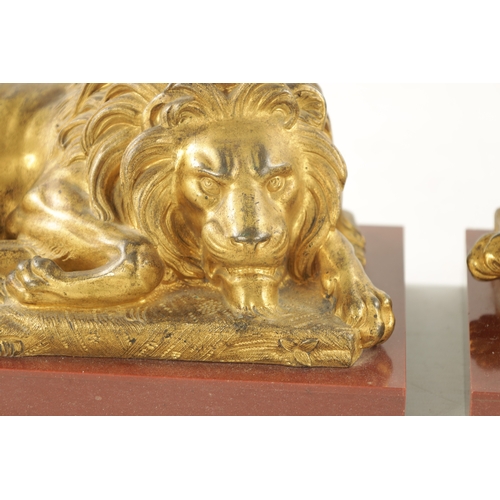 983 - A PAIR OF LATE 19TH CENTURY GILT BRONZE RECUMBENT LIONS mounted on marble plinths (30.5cm wide 16.5c... 