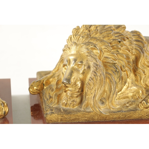 983 - A PAIR OF LATE 19TH CENTURY GILT BRONZE RECUMBENT LIONS mounted on marble plinths (30.5cm wide 16.5c... 