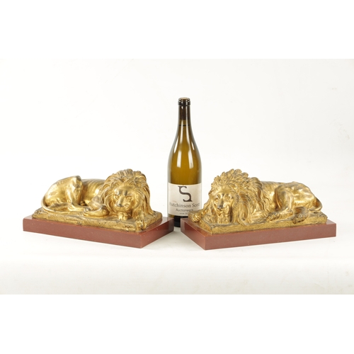 983 - A PAIR OF LATE 19TH CENTURY GILT BRONZE RECUMBENT LIONS mounted on marble plinths (30.5cm wide 16.5c... 